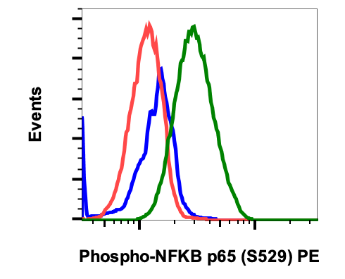 Phospho-NFkB p65 (Ser529) rabbit mAb PE conjugate Antibody