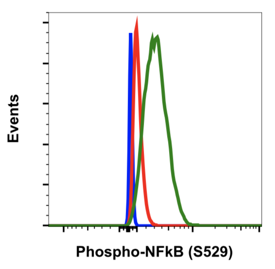 Phospho-NFkB p65 (Ser529) rabbit mAb Antibody