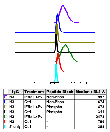 Phospho-NFkB p65 (Ser529) rabbit mAb Antibody