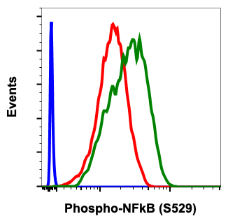 Phospho-NFkB p65 (Ser529) rabbit mAb Antibody