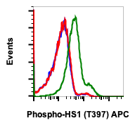 Phospho-HS1 (Tyr397) rabbit mAb APC Conjugate Antibody