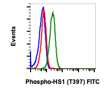 Phospho-HS1 (Tyr397) rabbit mAb FITC Conjugate Antibody