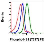 Phospho-HS1 (Tyr397) rabbit mAb PE Conjugate Antibody
