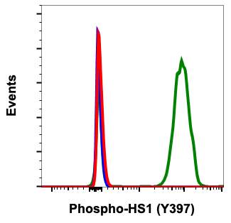 Phospho-HS1 (Tyr397) rabbit mAb Antibody