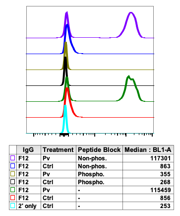 Phospho-HS1 (Tyr397) rabbit mAb Antibody