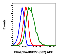 Phospho-HSP27 (Ser82) rabbit mAb APC conjugate Antibody