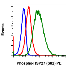 Phospho-HSP27 (Ser82) rabbit mAb PE conjugate Antibody