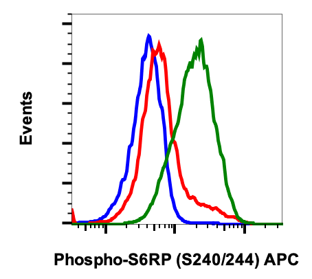 Phospho-S6-Ribosomal Protein (Ser240/244) rabbit mAb APC Conjugate Antibody