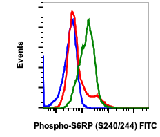 Phospho-S6-Ribosomal Protein (Ser240/244) rabbit mAb FITC Conjugate Antibody