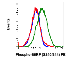 Phospho-S6-Ribosomal Protein (Ser240/244) rabbit mAb PE Conjugate Antibody