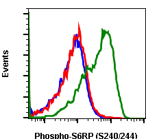 Phospho-S6-Ribosomal Protein (Ser240/244) rabbit mAb Antibody