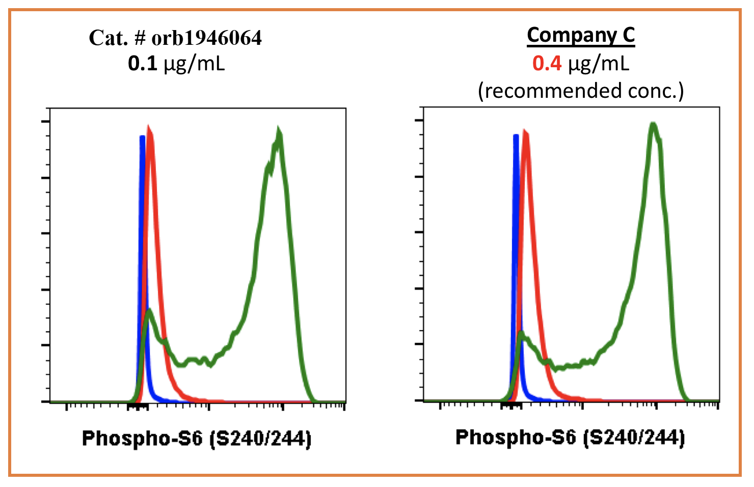 Phospho-S6-Ribosomal Protein (Ser240/244) rabbit mAb Antibody