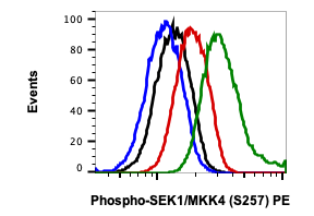 Phospho-SEK1/MKK4 (Ser257) rabbit mAb PE Conjugate Antibody