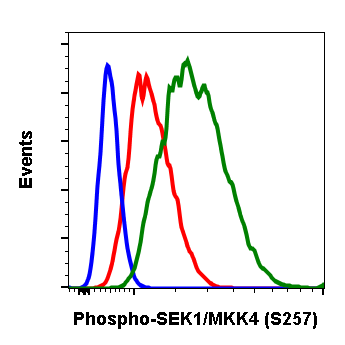 Phospho-SEK1/MKK4 (Ser257) rabbit mAb Antibody
