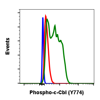 Phospho-c-Cbl (Tyr774) rabbit mAb Antibody