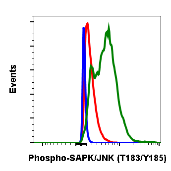 Phospho-SAPK/JNK (Thr183/Tyr185) rabbit mAb Antibody