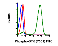 Phospho-Btk (Tyr551) rabbit mAb FITC conjugate Antibody