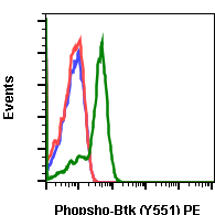 Phospho-Btk (Tyr551) rabbit mAb PE conjugate Antibody