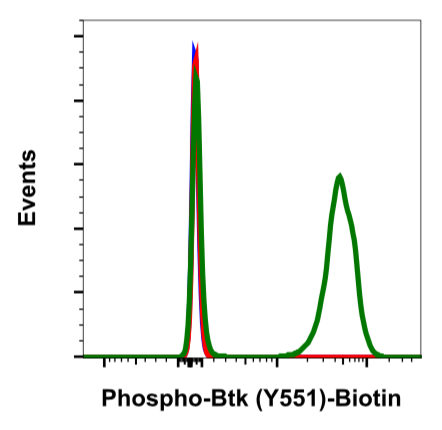 Phospho-Btk (Tyr551) rabbit mAb Biotin conjugate Antibody
