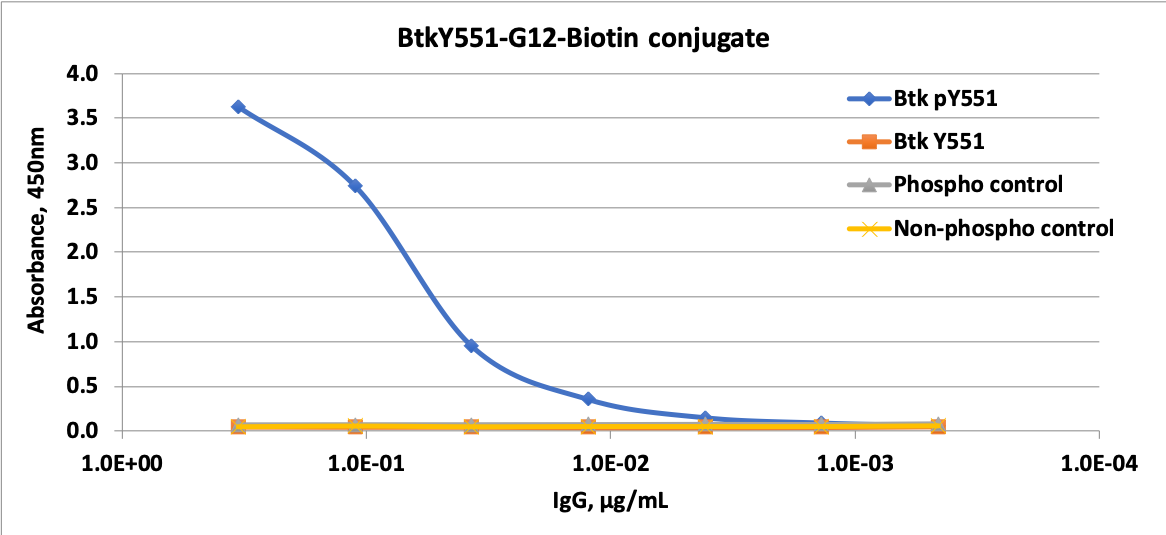Phospho-Btk (Tyr551) rabbit mAb Biotin conjugate Antibody