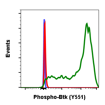 Phospho-Btk (Tyr551) rabbit mAb Antibody