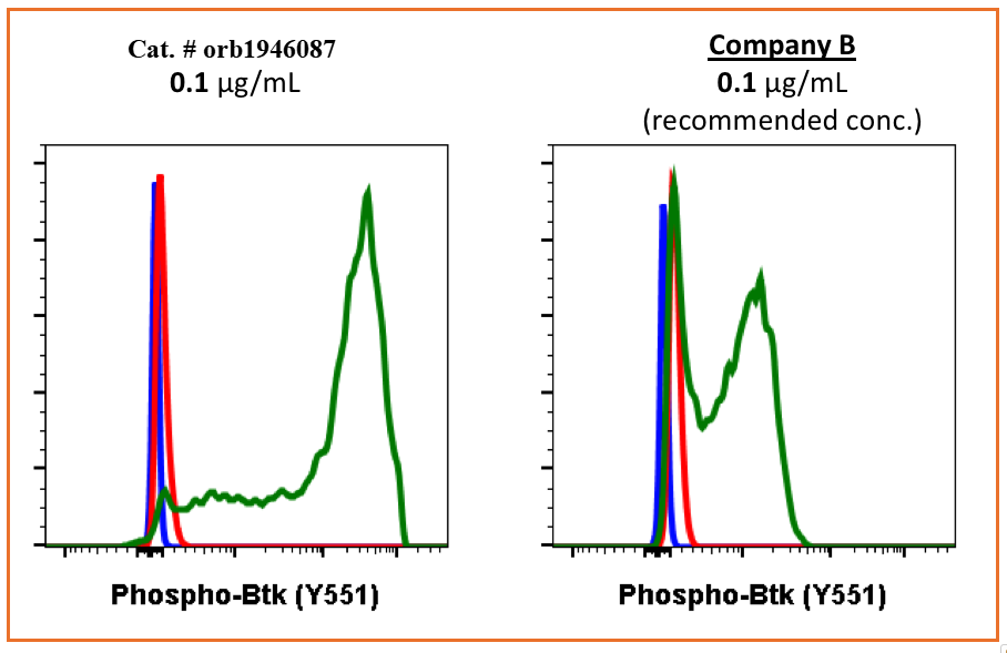 Phospho-Btk (Tyr551) rabbit mAb Antibody