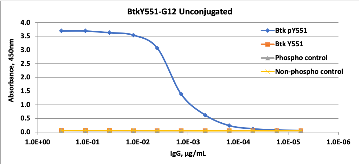 Phospho-Btk (Tyr551) rabbit mAb Antibody