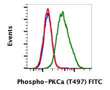Phospho-PKCa (Thr497) rabbit mAb FITC Conjugate Antibody