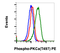Phospho-PKCa (Thr497) rabbit mAb PE Conjugate Antibody