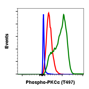 Phospho-PKCa (Thr497) rabbit mAb Antibody