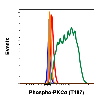 Phospho-PKCa (Thr497) rabbit mAb Antibody