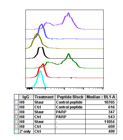 Cleaved PARP (Asp214) rabbit mAb Antibody