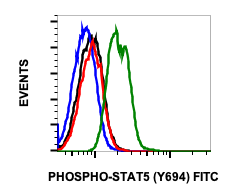 Phospho-Stat5 (Tyr694) rabbit mAb FITC Conjugate Antibody