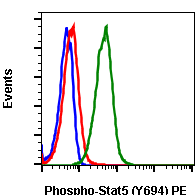 Phospho-Stat5 (Tyr694) rabbit mAb PE conjugate Antibody