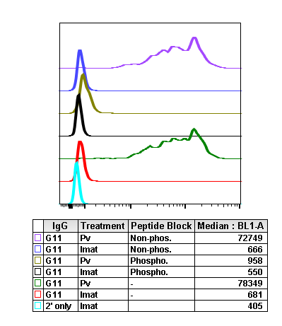 Phospho-Stat5 (Tyr694) rabbit mAb Antibody