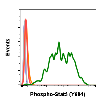 Phospho-Stat5 (Tyr694) rabbit mAb Antibody