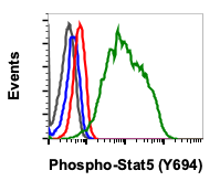Phospho-Stat5 (Tyr694) rabbit mAb Antibody