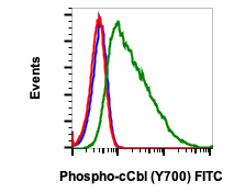 Phospho-c-Cbl (Tyr700) rabbit mAb FITC conjugate Antibody