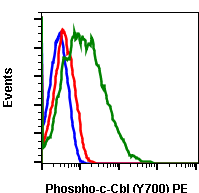 Phospho-c-Cbl (Tyr700) rabbit mAb PE conjugate Antibody