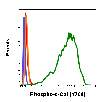 Phospho-c-Cbl (Tyr700) rabbit mAb Antibody
