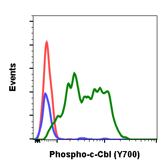 Phospho-c-Cbl (Tyr700) rabbit mAb Antibody