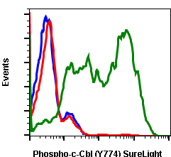 Phospho-c-Cbl (Tyr774) rabbit mAb SureLight488 conjugate Antibody