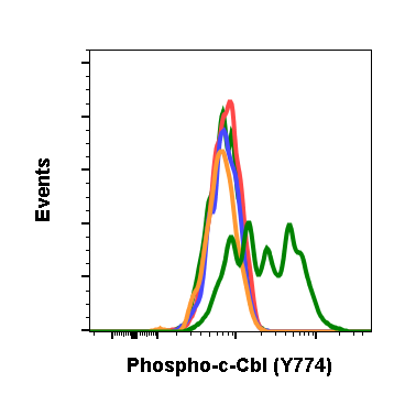 Phospho-c-Cbl (Tyr774) rabbit mAb Antibody