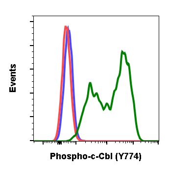 Phospho-c-Cbl (Tyr774) rabbit mAb Antibody