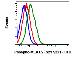 Phospho-MEK1/2 (Ser217/221) rabbit mAb FITC conjugate Antibody