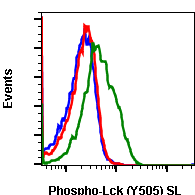 Phospho-Lck (Tyr505) rabbit mAb SureLight488 conjugate Antibody