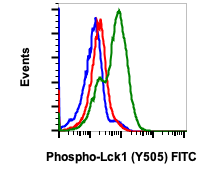 Phospho-Lck (Tyr505) rabbit mAb FITC conjugate Antibody