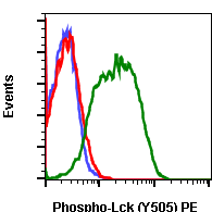 Phospho-Lck (Tyr505) rabbit mAb PE conjugate Antibody