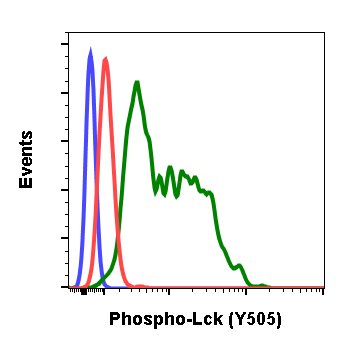 Phospho-Lck (Tyr505) rabbit mAb Antibody