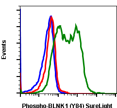 Phospho-BLNK (Tyr84) rabbit mAb SureLight488 conjugate Antibody